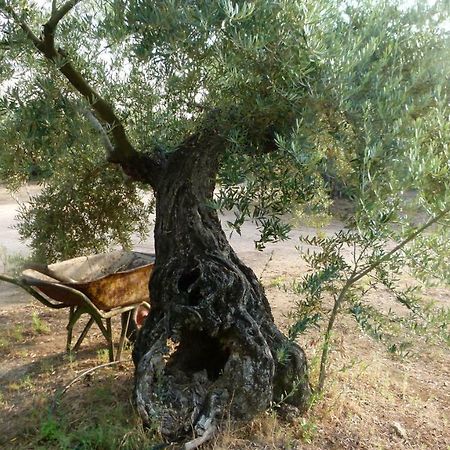 Pensjonat La Aragonesa Marmolejo Zewnętrze zdjęcie